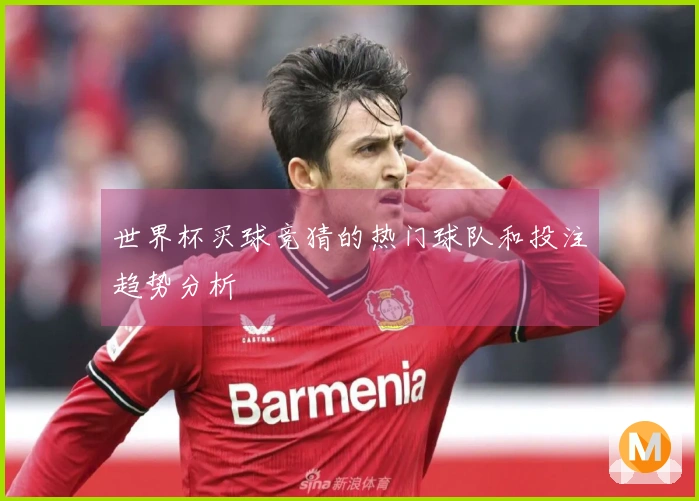 世界杯买球竞猜的热门球队和投注趋势分析