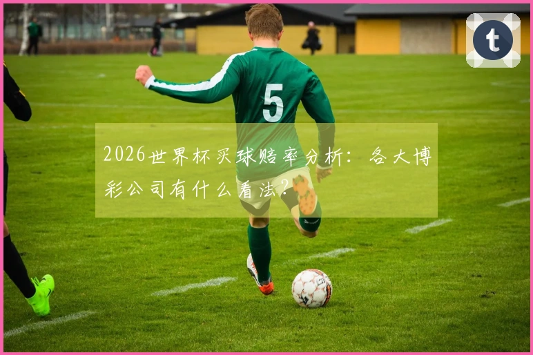 2026世界杯买球赔率分析：各大博彩公司有什么看法？