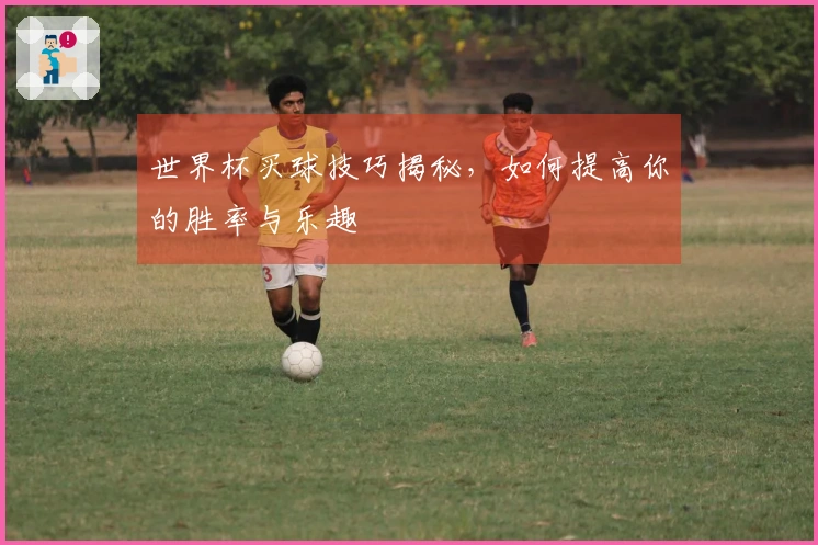 世界杯买球技巧揭秘，如何提高你的胜率与乐趣