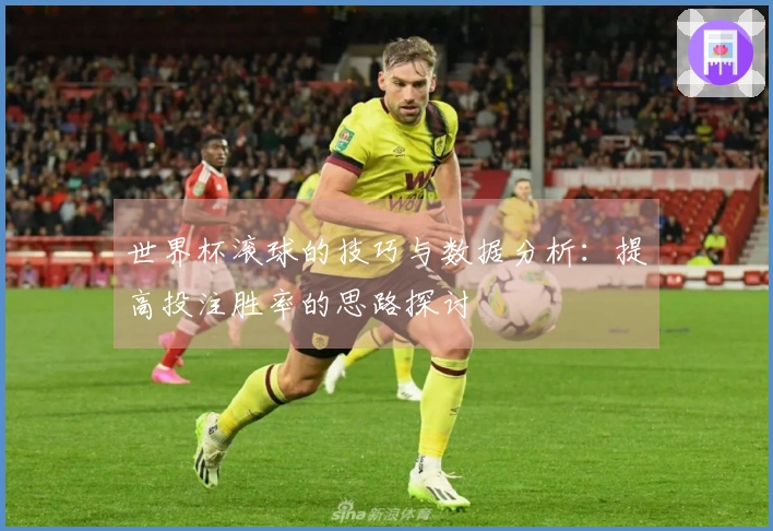 世界杯滚球的技巧与数据分析：提高投注胜率的思路探讨