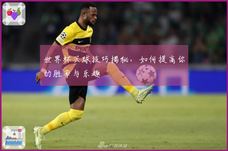 世界杯买球技巧揭秘，如何提高你的胜率与乐趣