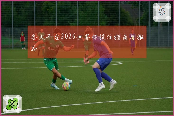 各大平台2026世界杯投注指南与推荐