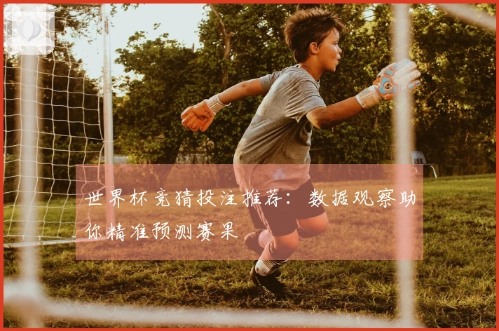世界杯竞猜投注推荐：数据观察助你精准预测赛果