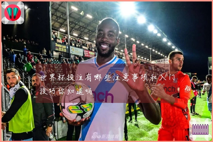 世界杯投注有哪些注意事项和入门技巧你知道吗