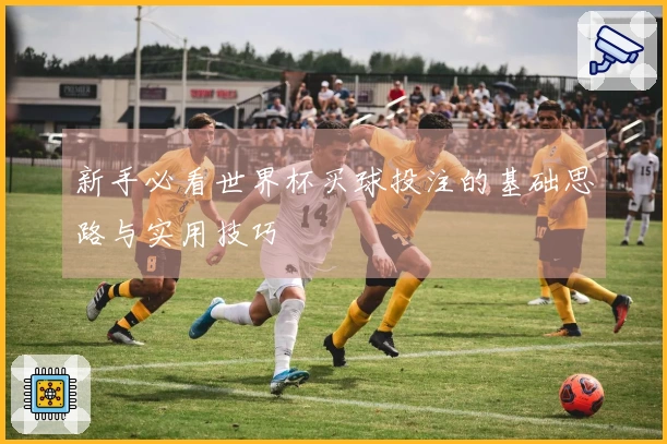 新手必看世界杯买球投注的基础思路与实用技巧